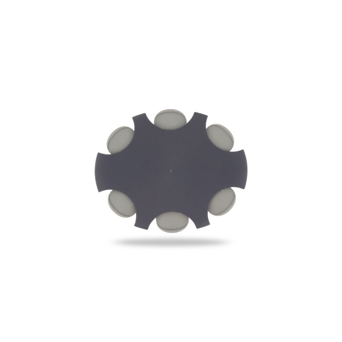 Sieros surinkėjas OTICON PROWAX, 6 vnt. pakuotė - Image 2