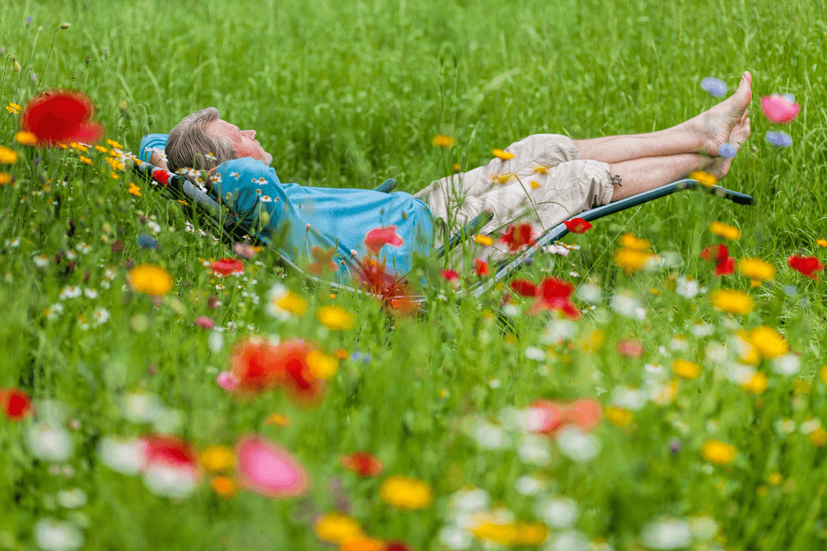 Vasaros pievų garsai - puiki terapija ausims